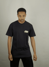 ALL THRILLS NO SPILLS