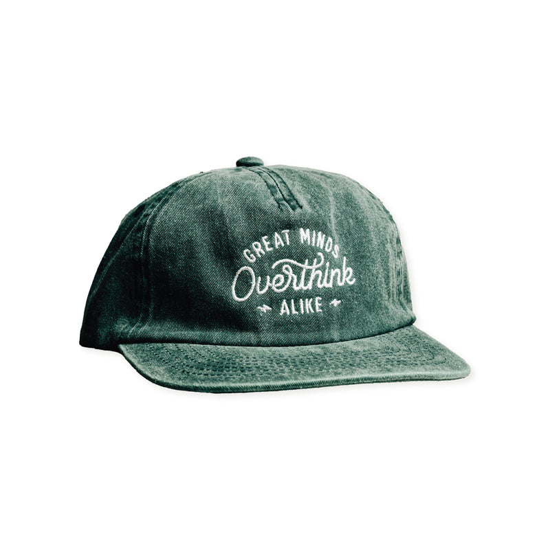 GREAT MINDS OVERTHINK ALIKE - 5PANEL